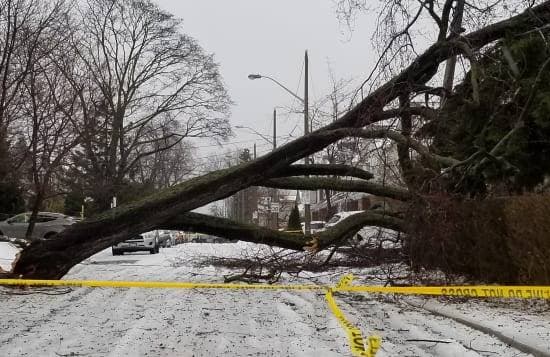 Image d'illustration pour Tempête, neige et verglas au Canada et Nord des Etats-Unis