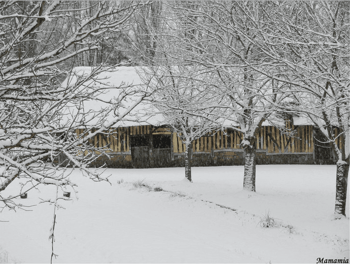 Image d'illustration pour BILAN FÉVRIER 2013 : froid marqué et neigeux