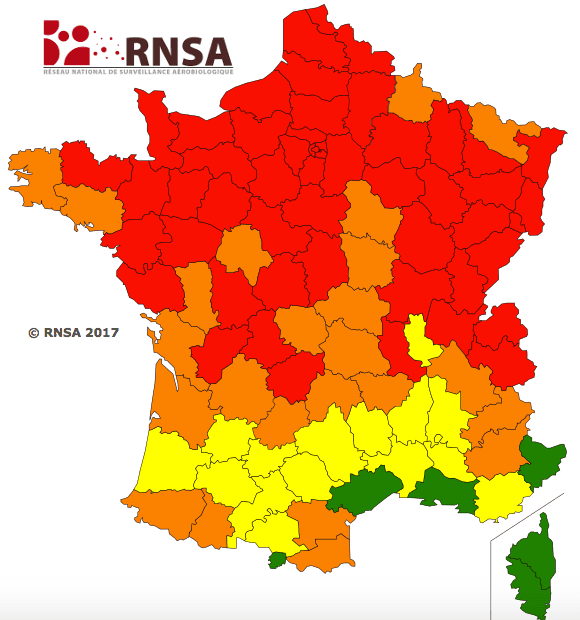 Image d'illustration pour Printemps et pollens : alerte au bouleau !