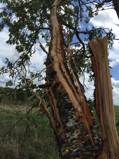Image d'illustration pour Bilan des orages diluviens et meurtriers du 21 au 24 août