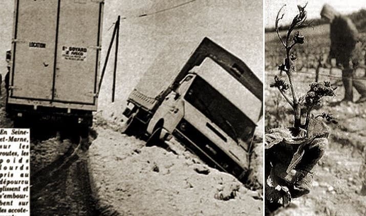 Image d'illustration pour Les chutes de neige et fortes gelées tardives en avril