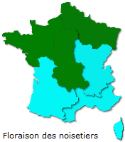 Image d'illustration pour Marronnier de Genève, printemps, pollens et allergies