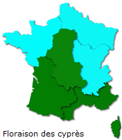 Image d'illustration pour Marronnier de Genève, printemps, pollens et allergies