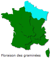 Image d'illustration pour Marronnier de Genève, printemps, pollens et allergies