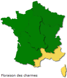 Image d'illustration pour Marronnier de Genève, printemps, pollens et allergies